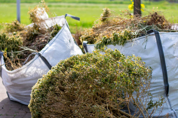 Best Furniture Removal Near Me  in Vincent, CA